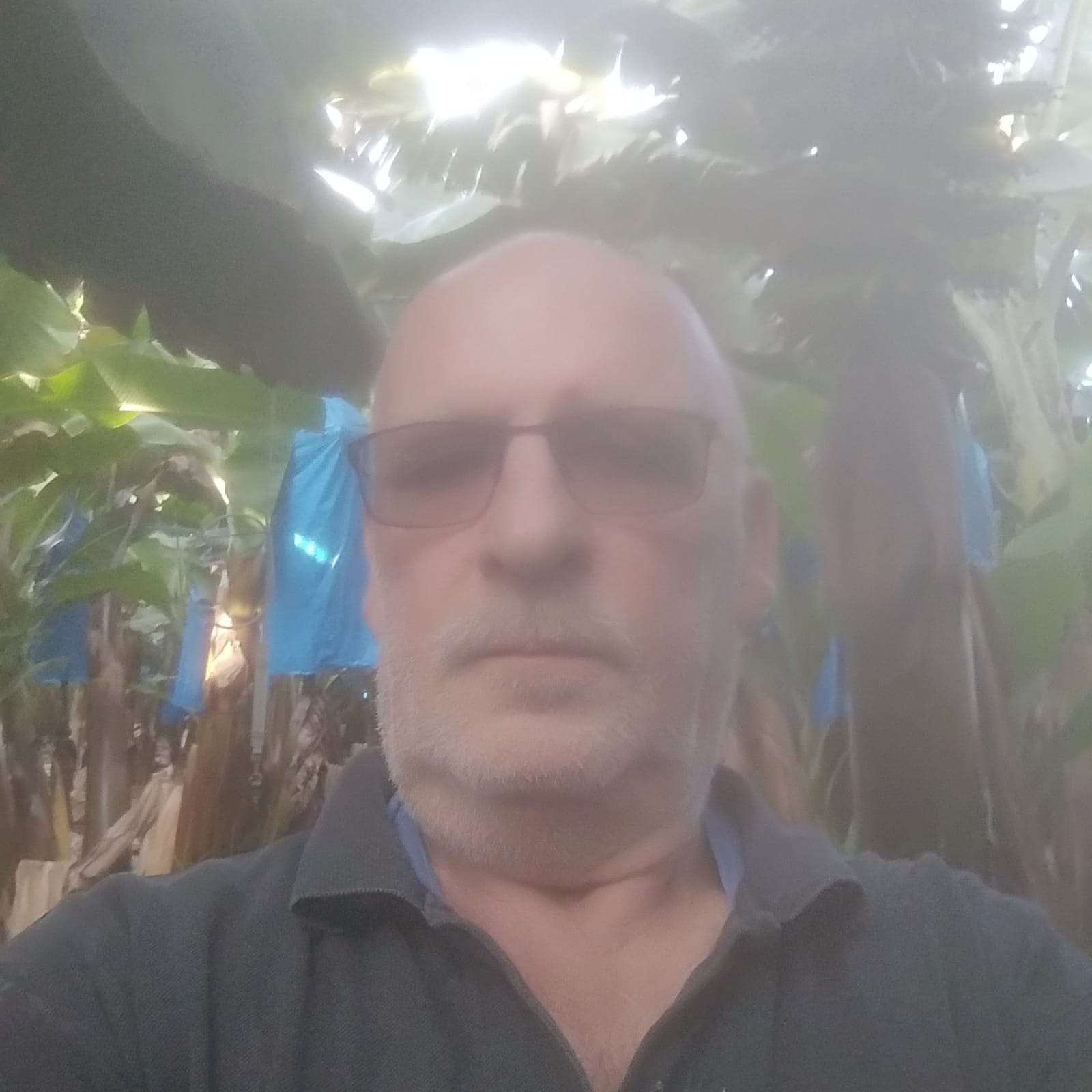 WhatsApp Image 2018-12-13 at 15.47.29 חקלאי מגדל בננות אורגניות