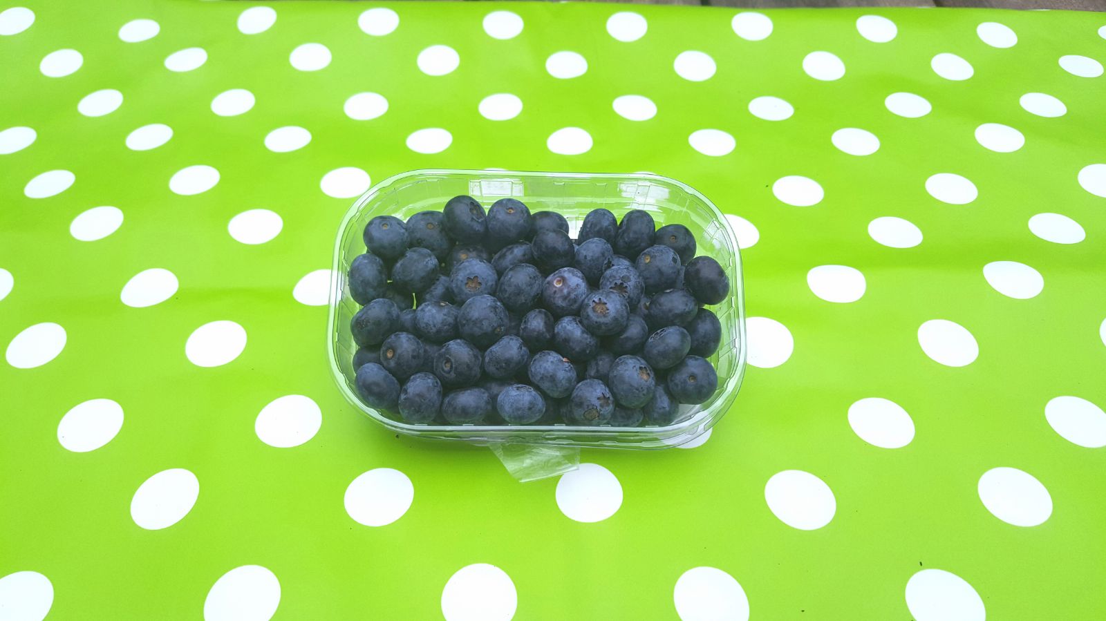 blueberry ruach shtut 3