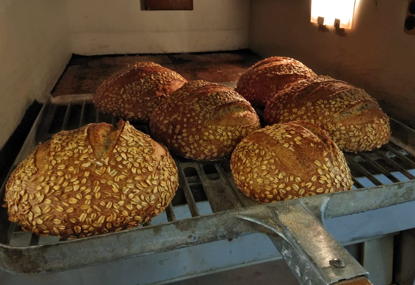 אישלחם אישלחם תעוז לחמי מחמצת