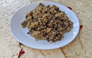 מג'דרה אורז מלא עם נבטוטים